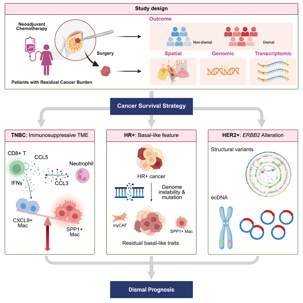 Figure from Spatial and genomic profiling of residual breast cancer after neoadjuvant chemotherapy