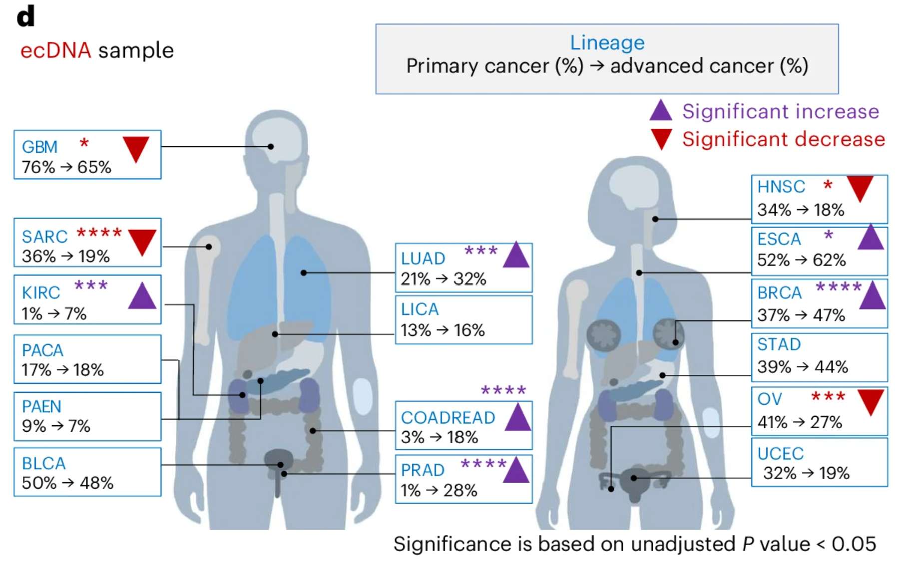 Figure showing ecDNA amplification prevalence and change across cancer types, from Kim et al. Nature Genetics 2024